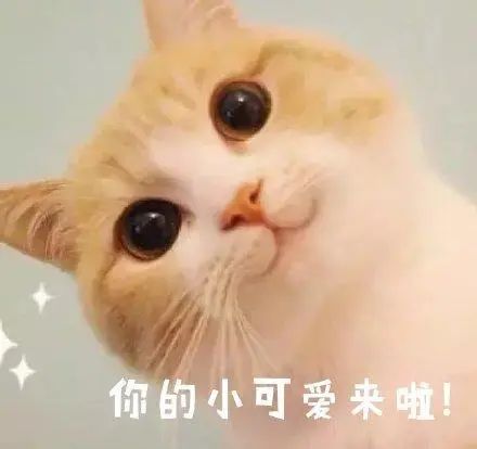 ec3c8e8429b04218c1be3b6408dab154.jpg